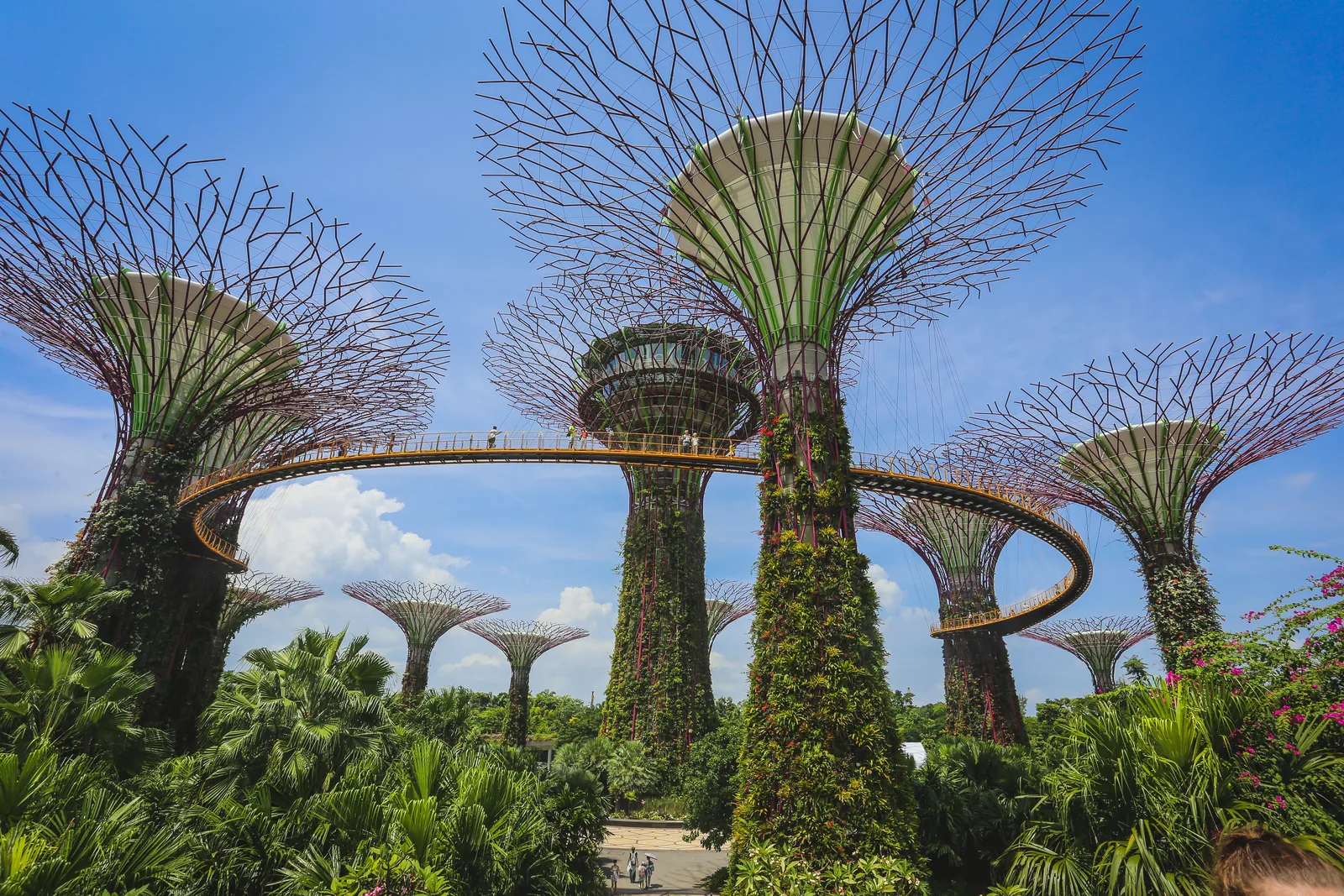Singapore 5N6D Package