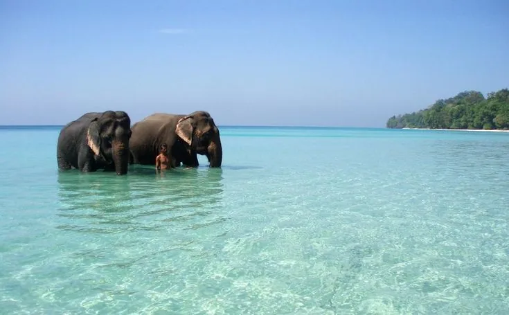 Essence of Andamans 5N6D (2)
