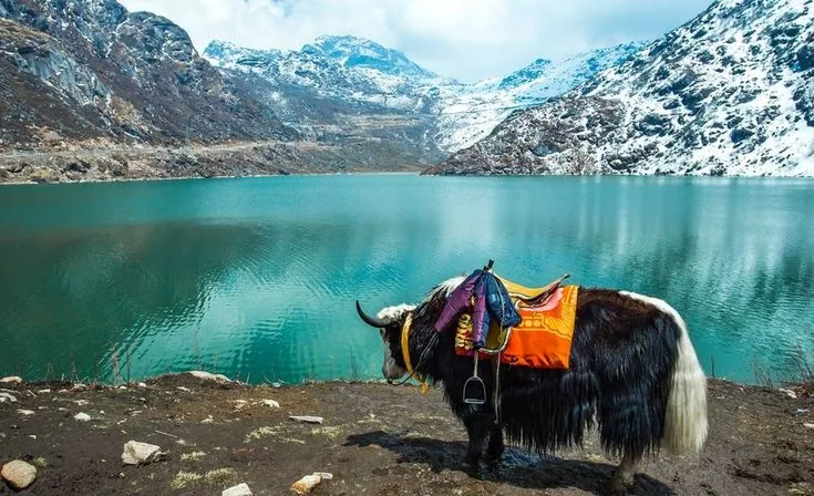 Treasures of Sikkim 7N8D