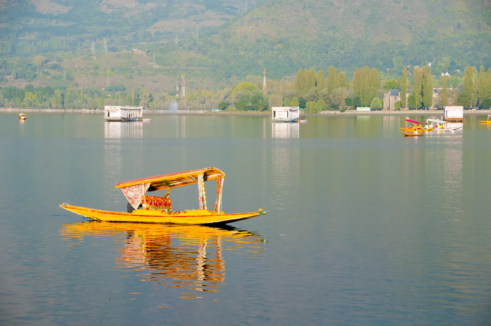 Kashmir Delight 5N6D