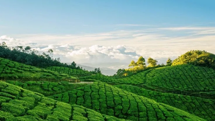 Kerala Rain Package 4N5D