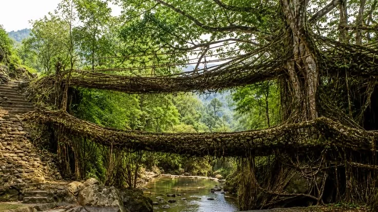 Mesmerising Meghalaya 6N7D